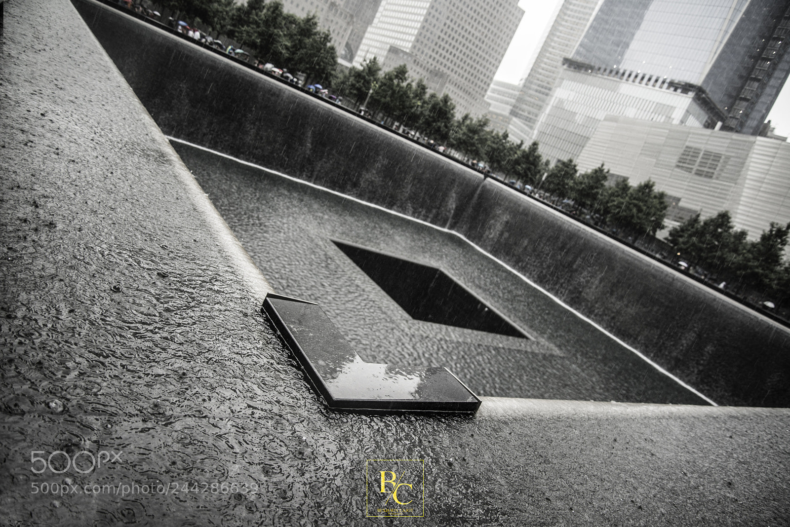 Nikon D800 sample photo. Untitled photography