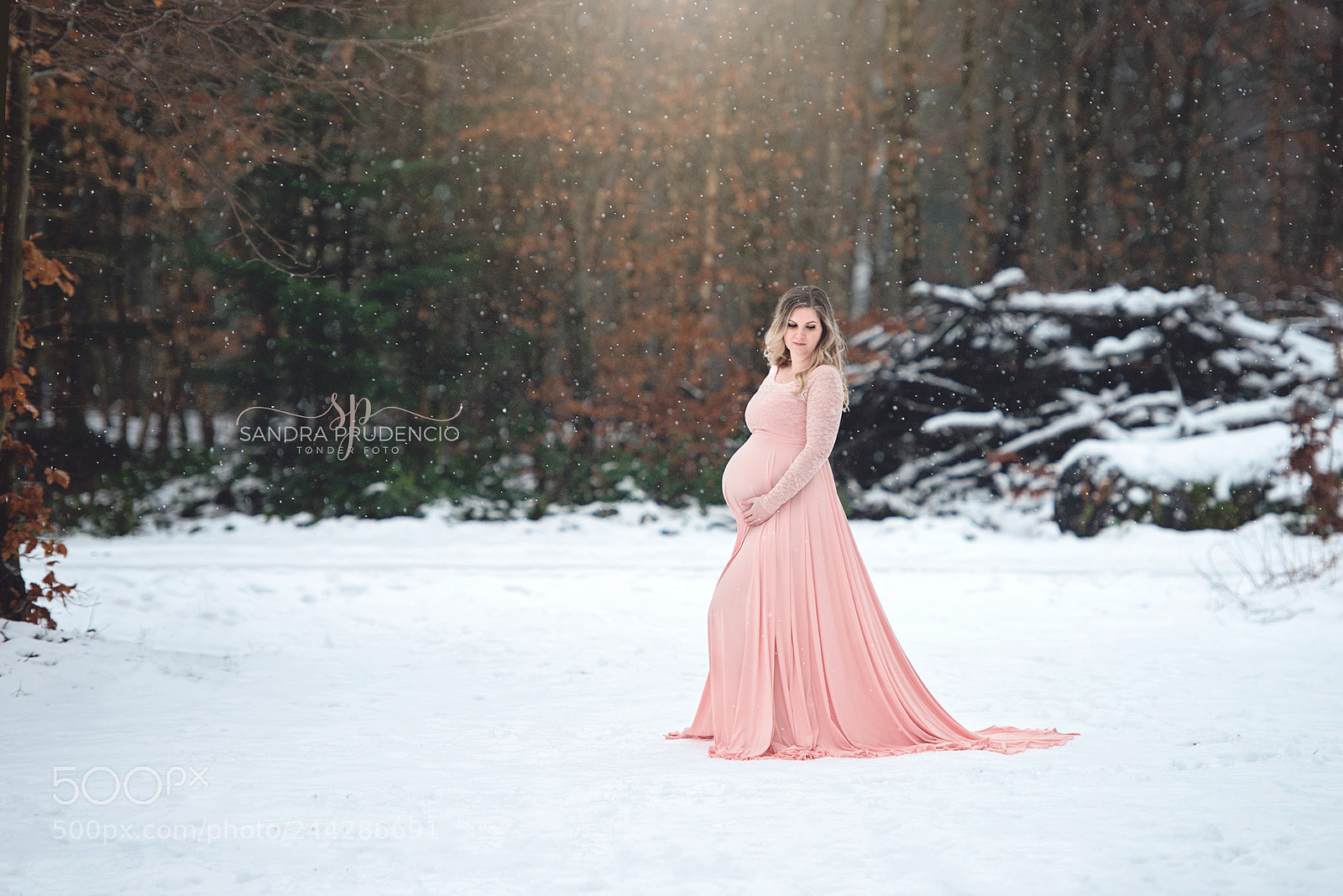 Nikon D800 sample photo. Ssp photography