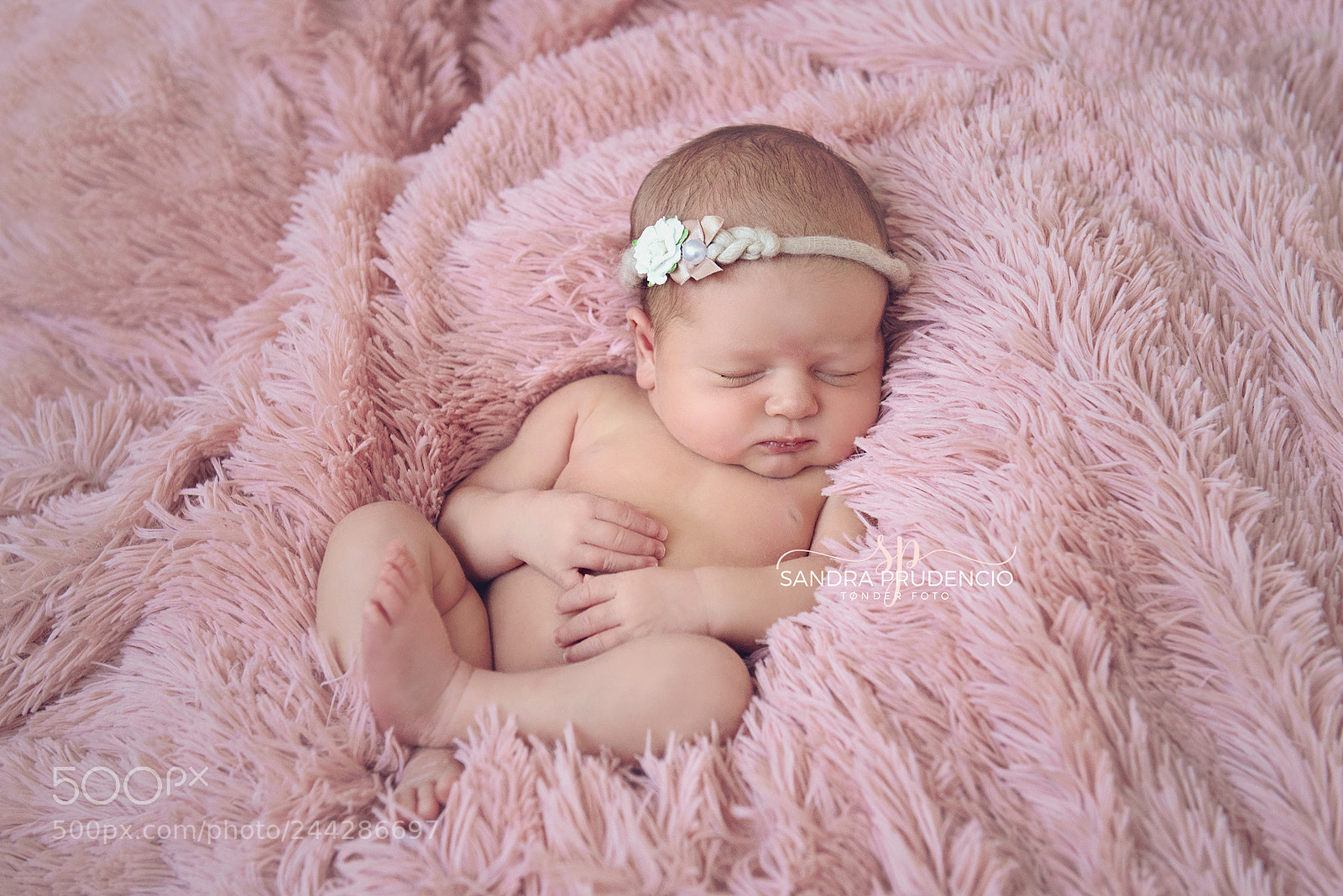 Nikon D800 sample photo. Ssp photography