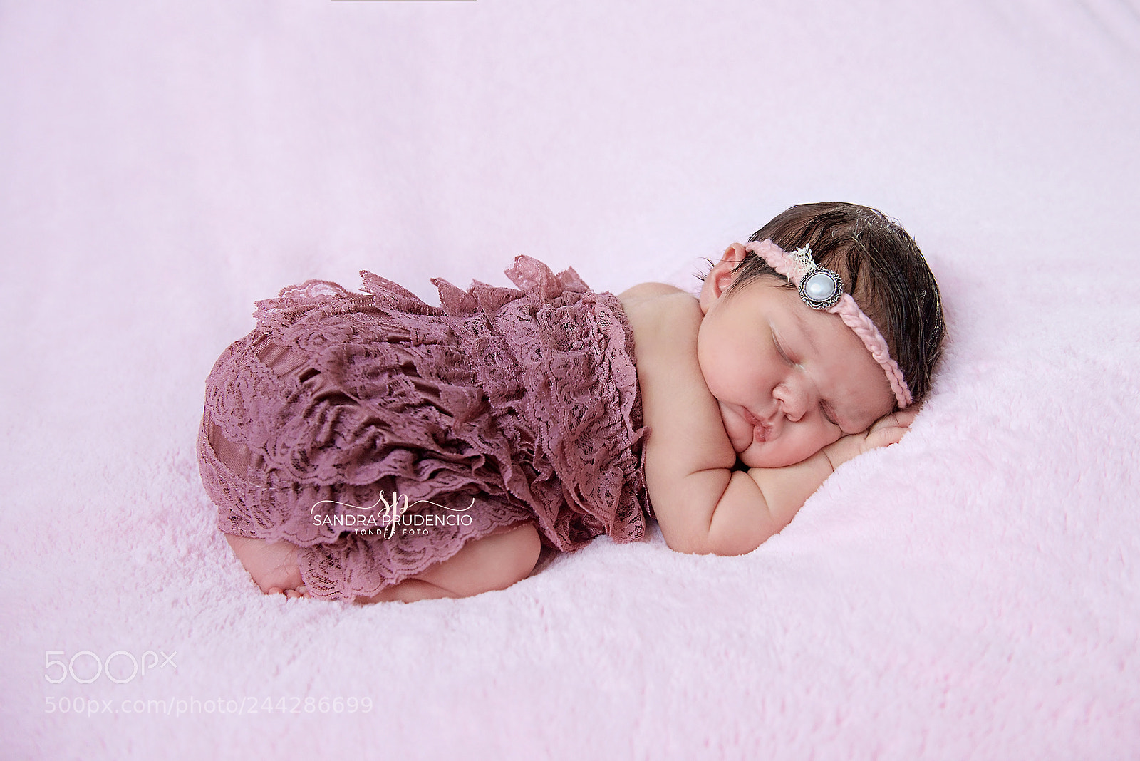 Nikon D800 sample photo. Ssp photography