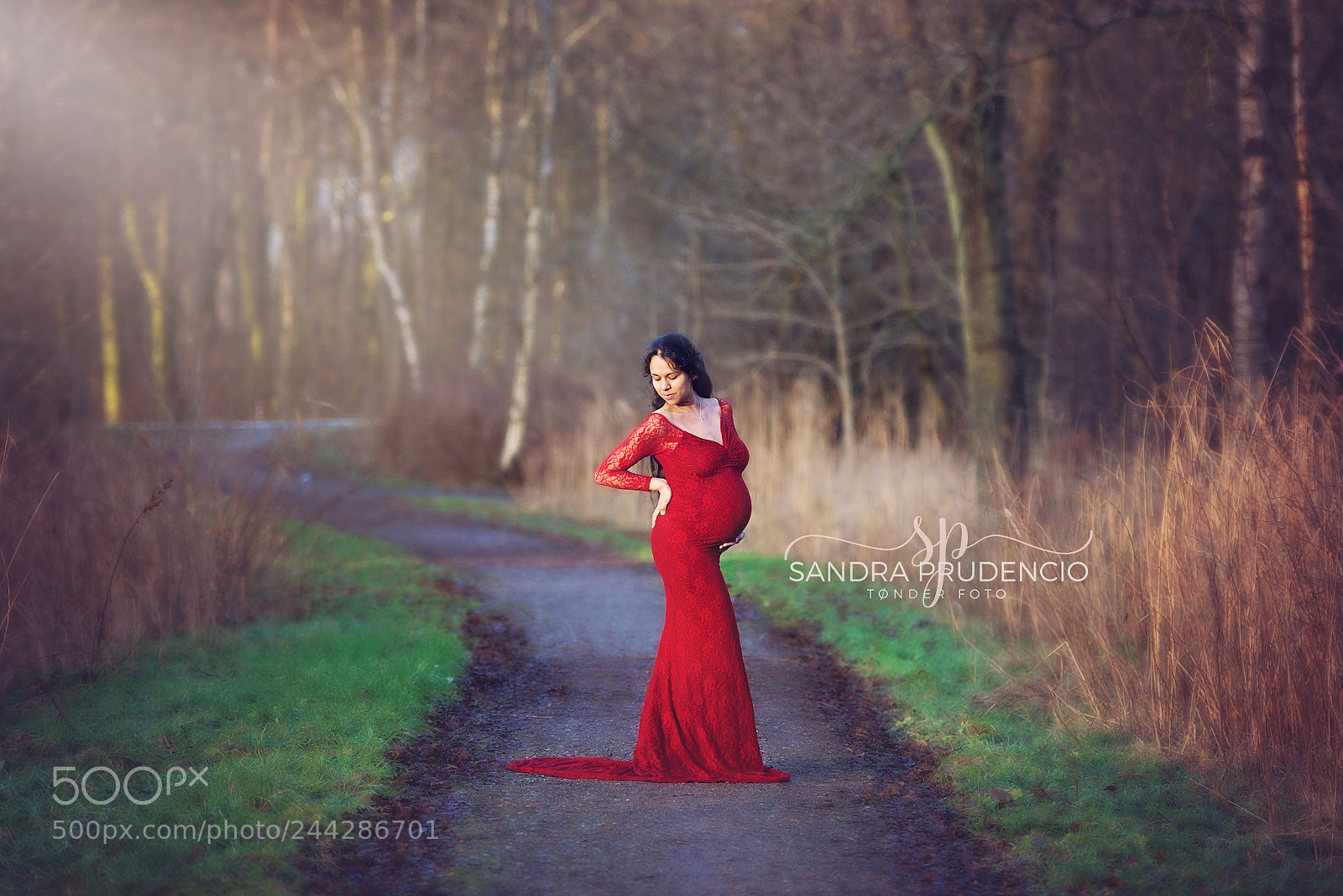 Nikon D800 sample photo. Ssp photography