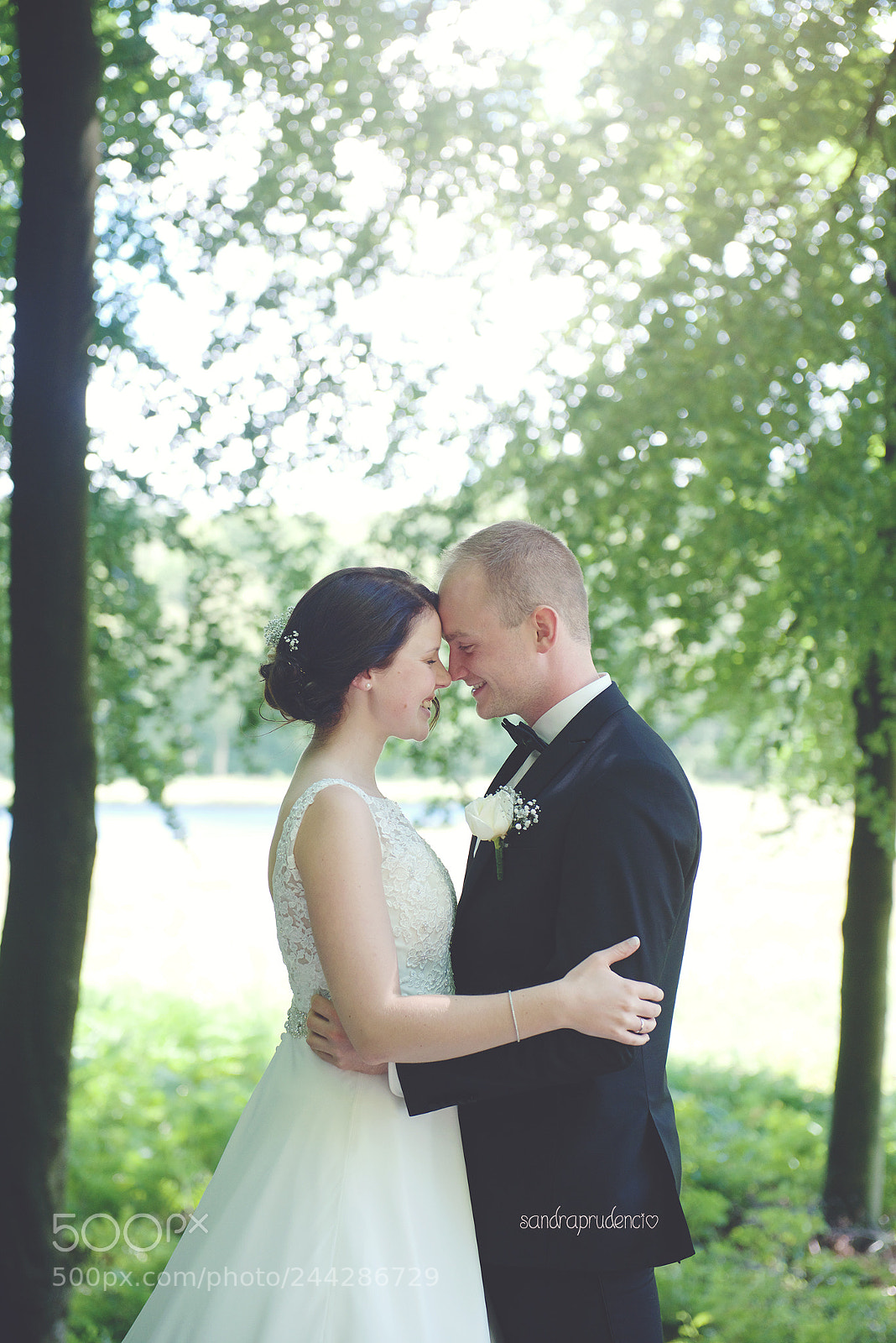 Nikon D800 sample photo. Ssp photography
