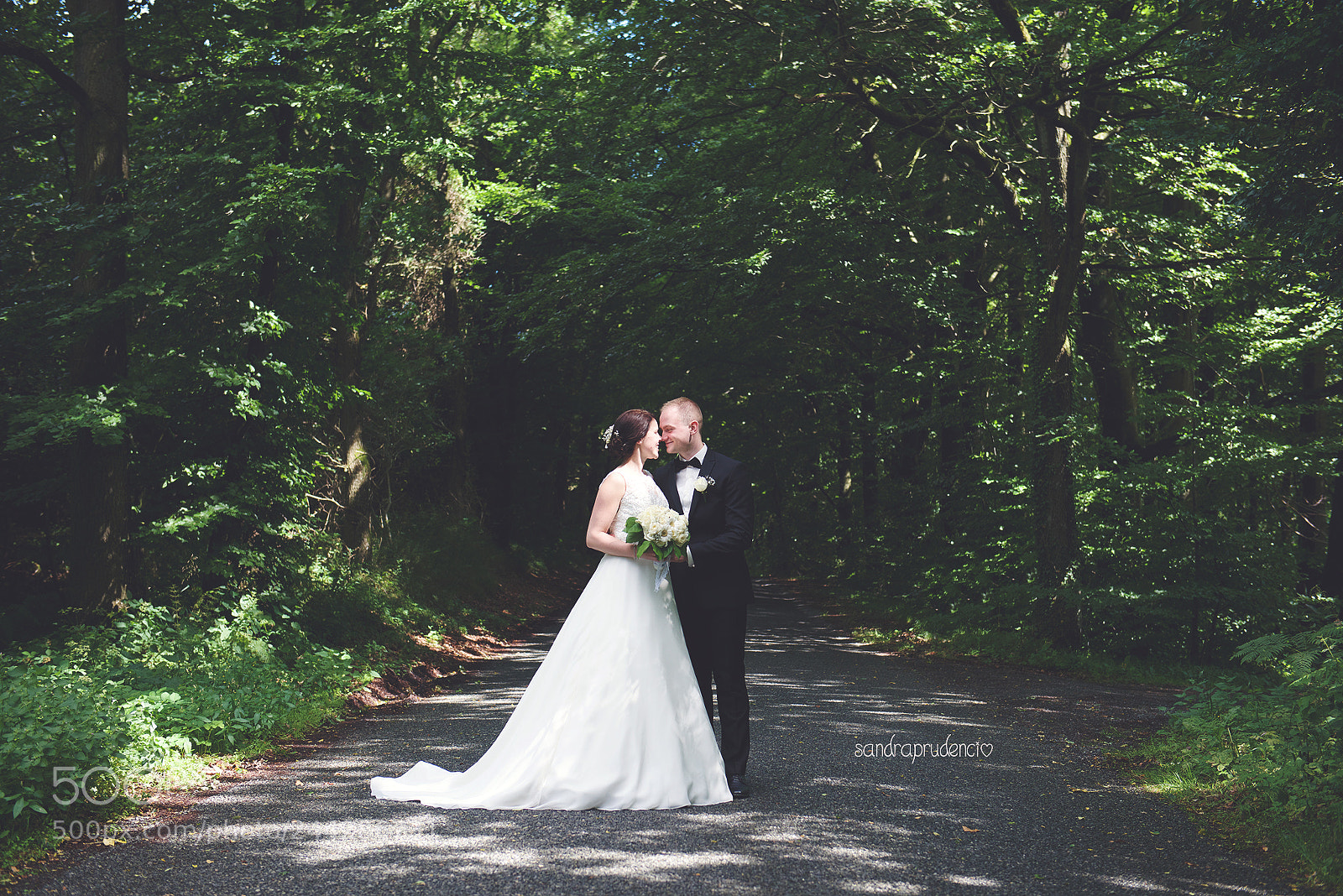 Nikon D800 sample photo. Ssp photography