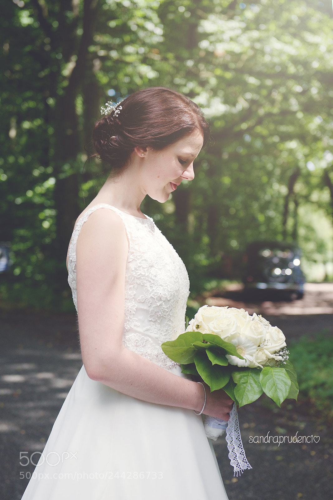 Nikon D800 sample photo. Ssp photography