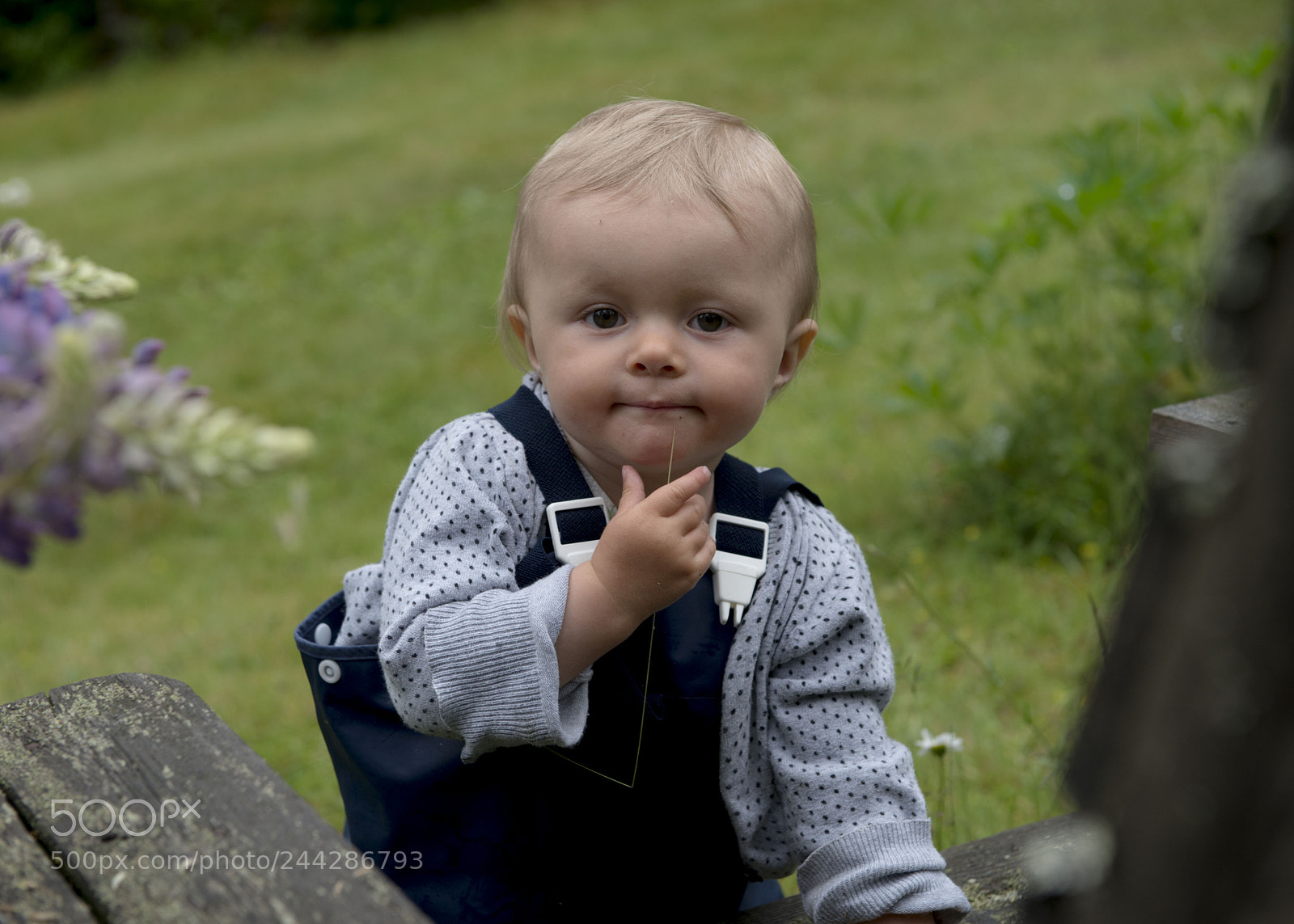 Nikon D800 sample photo. Untitled photography
