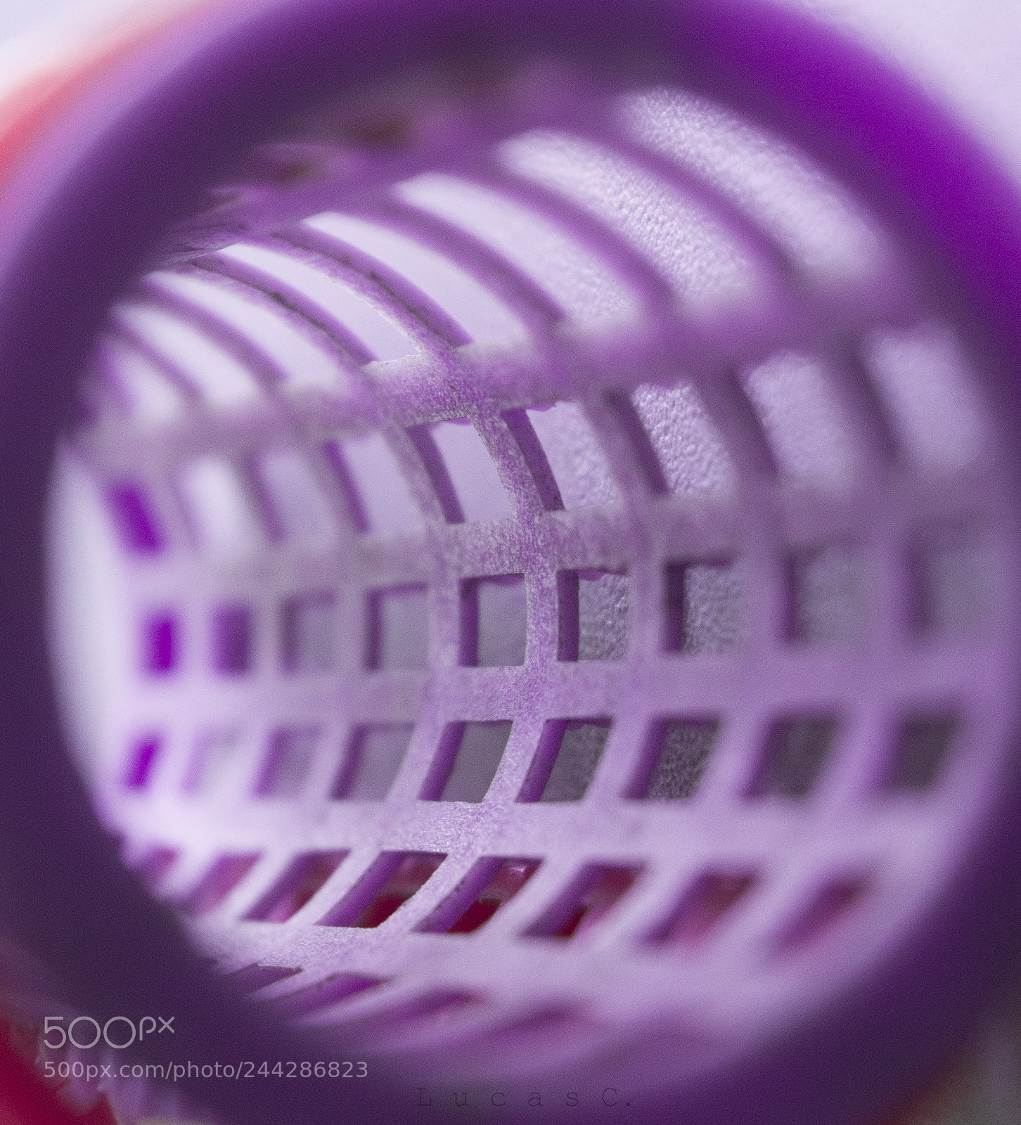 Nikon D3200 sample photo. Purple photography