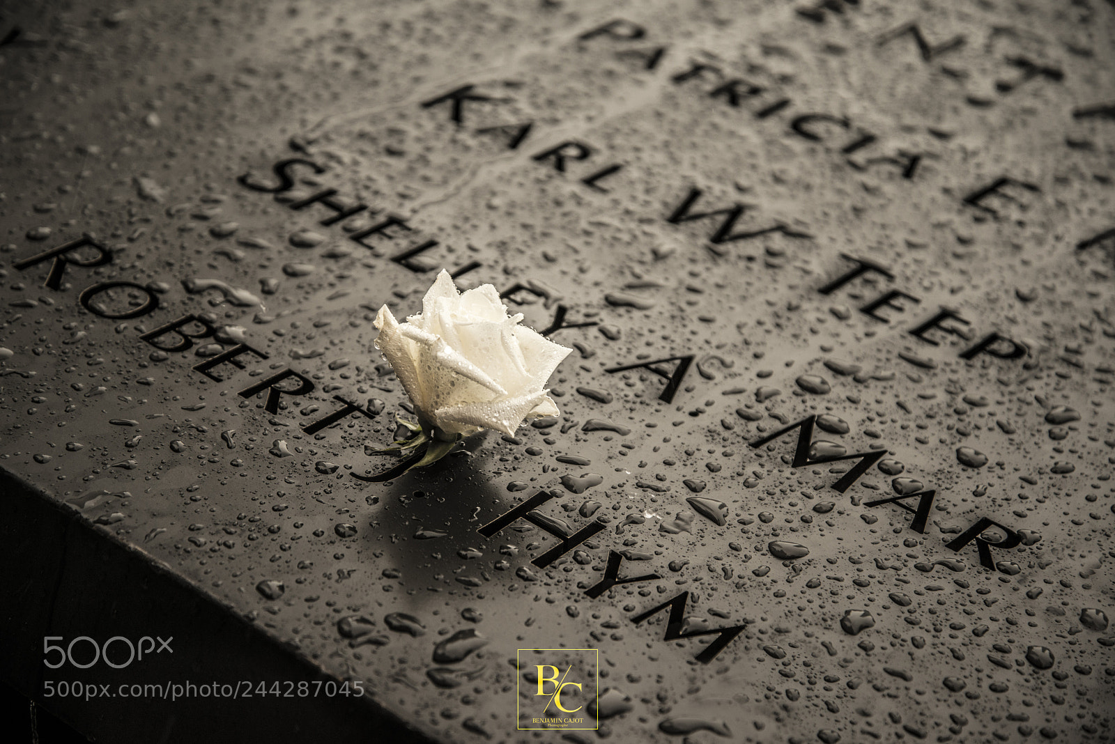 Nikon D800 sample photo. Untitled photography