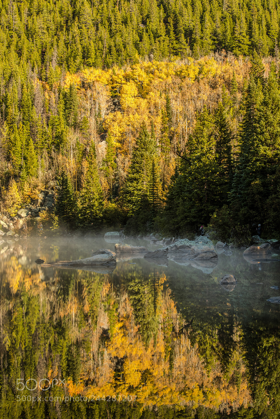 Nikon D810 sample photo. Rocky mountian national park photography
