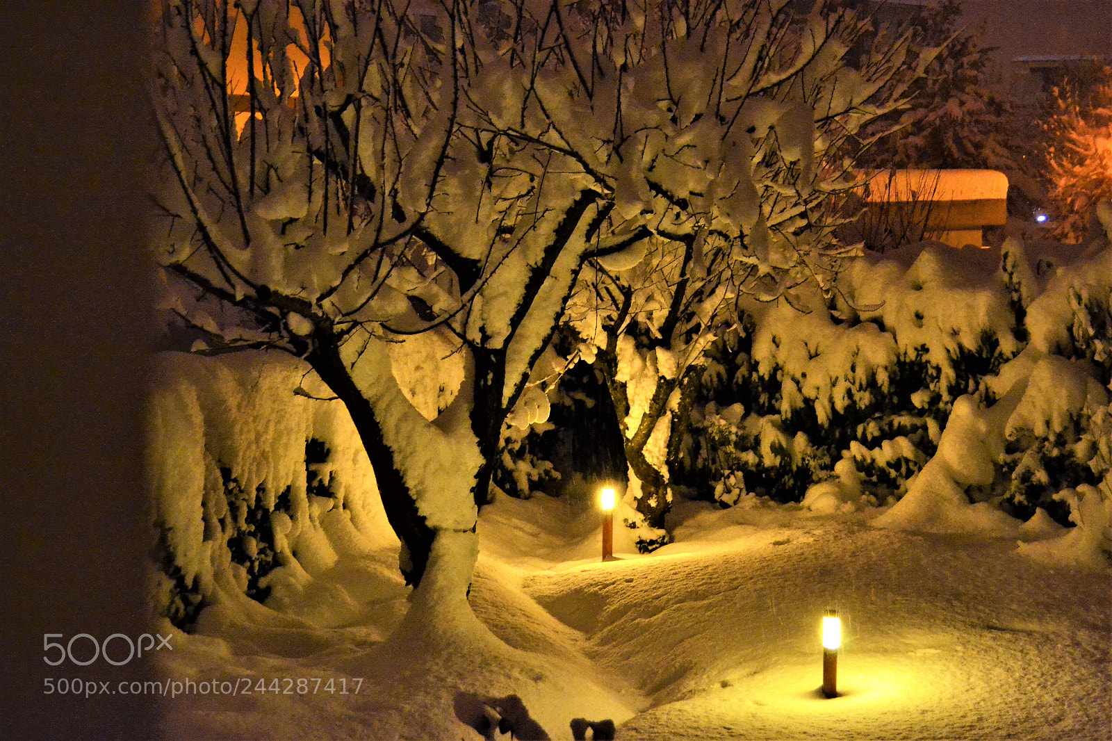 Nikon D3100 sample photo. Winter photography