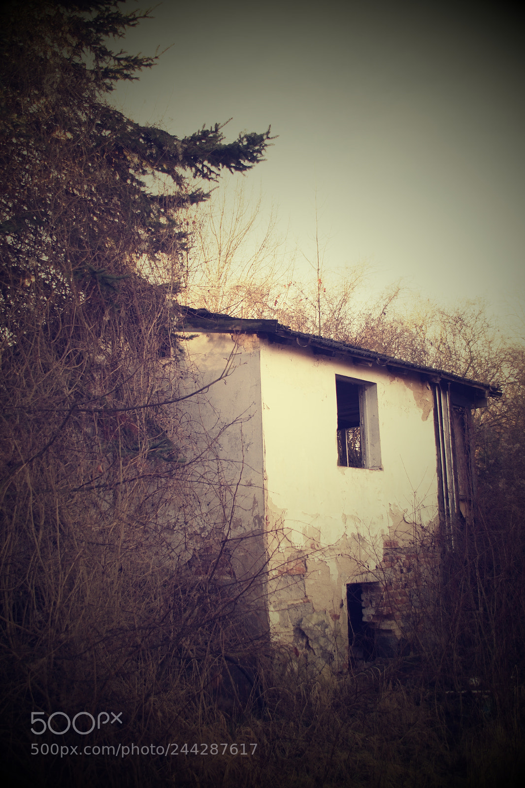 Nikon D810 sample photo. Old house photography