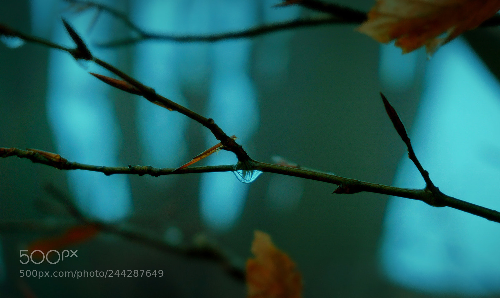 Sony a5100 sample photo. Drop photography