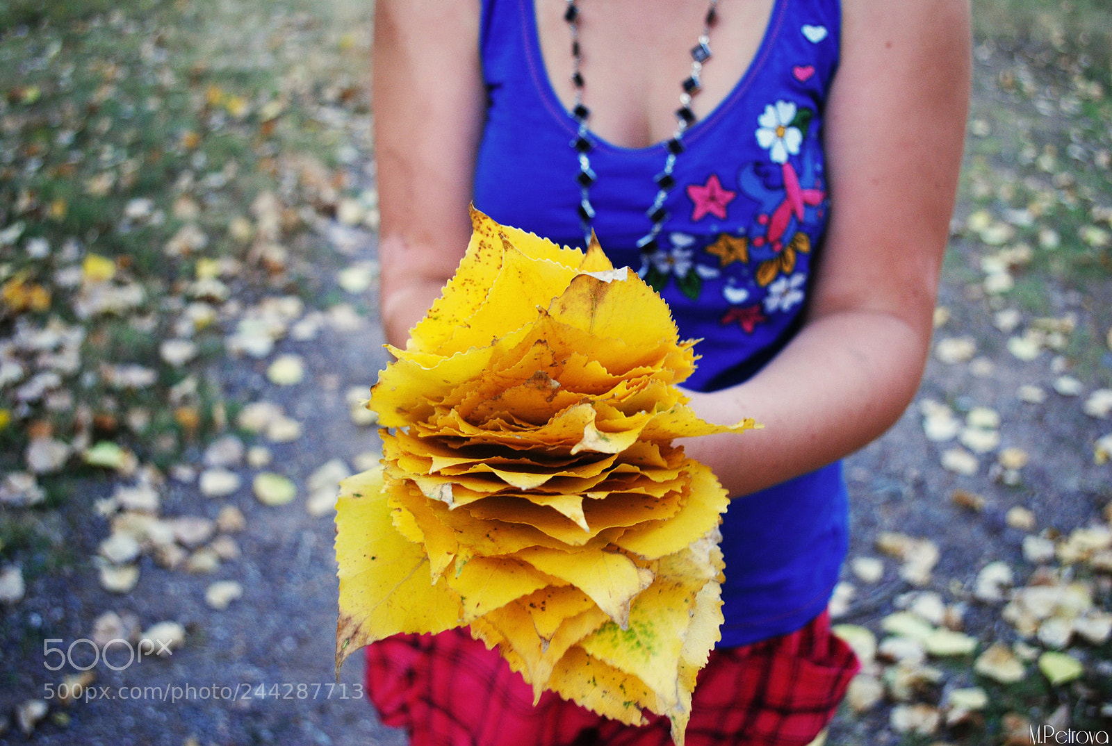 Nikon D3000 sample photo. Leaves photography