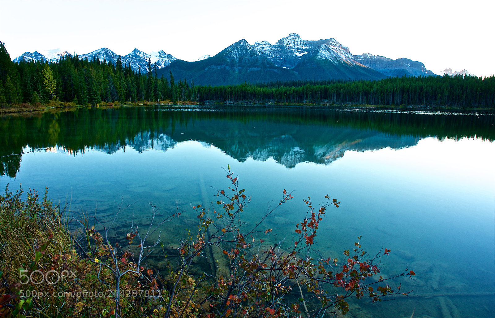 Sony DSC-R1 sample photo. Hector lake photography