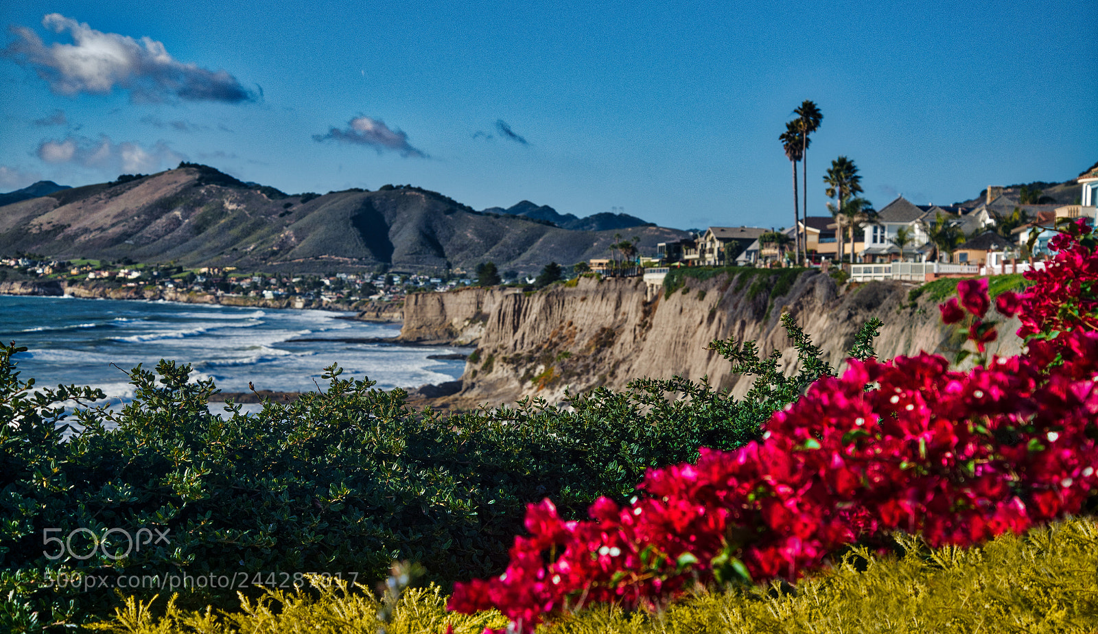 Nikon D850 sample photo. Seacliff inn trail in photography
