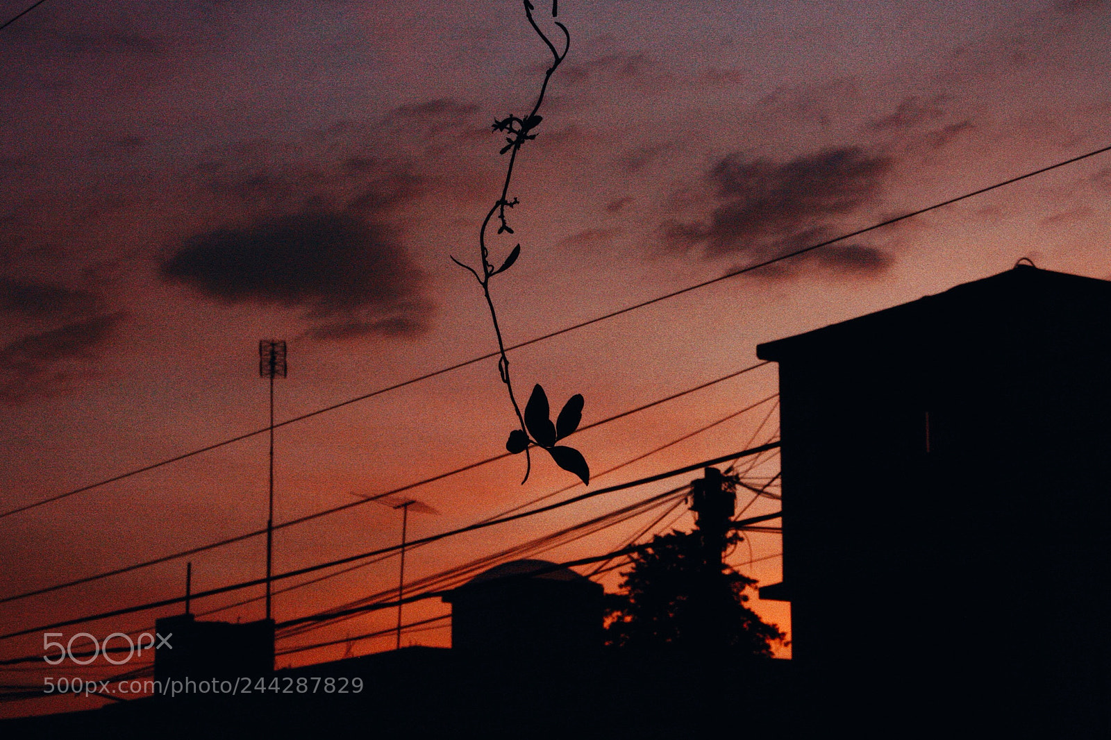 Canon EOS 1000D (EOS Digital Rebel XS / EOS Kiss F) sample photo. Sunset photography