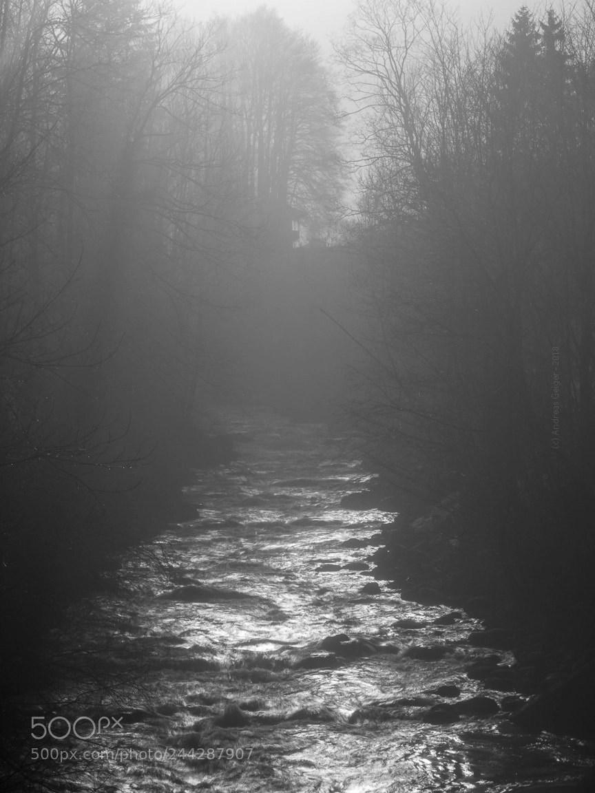 Olympus OM-D E-M10 II sample photo. Königsseer ache photography