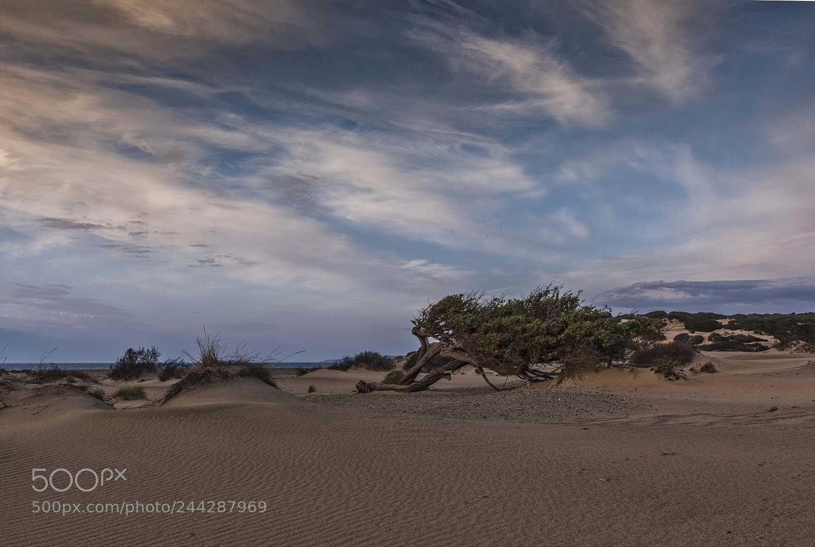 Nikon D810 sample photo. Dunes piscinas photography