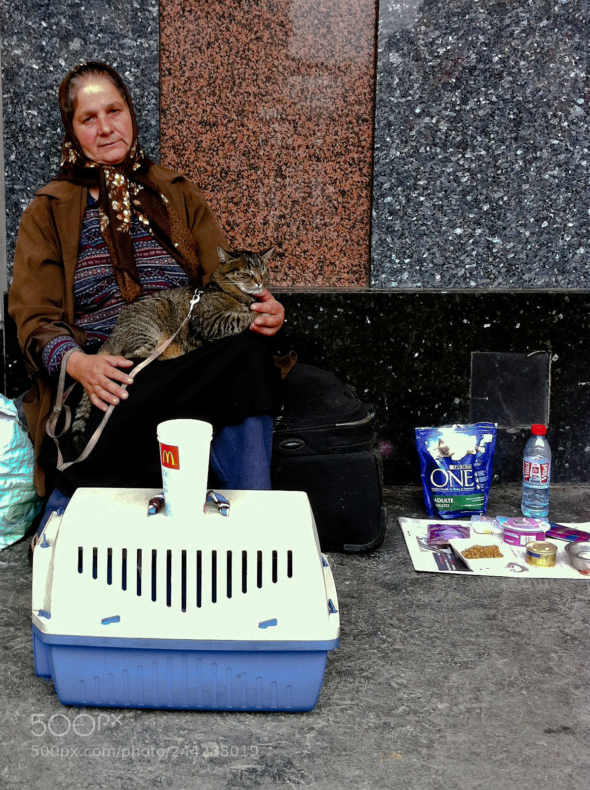 Apple iPhone 4 sample photo. Ibrahim and his owner photography