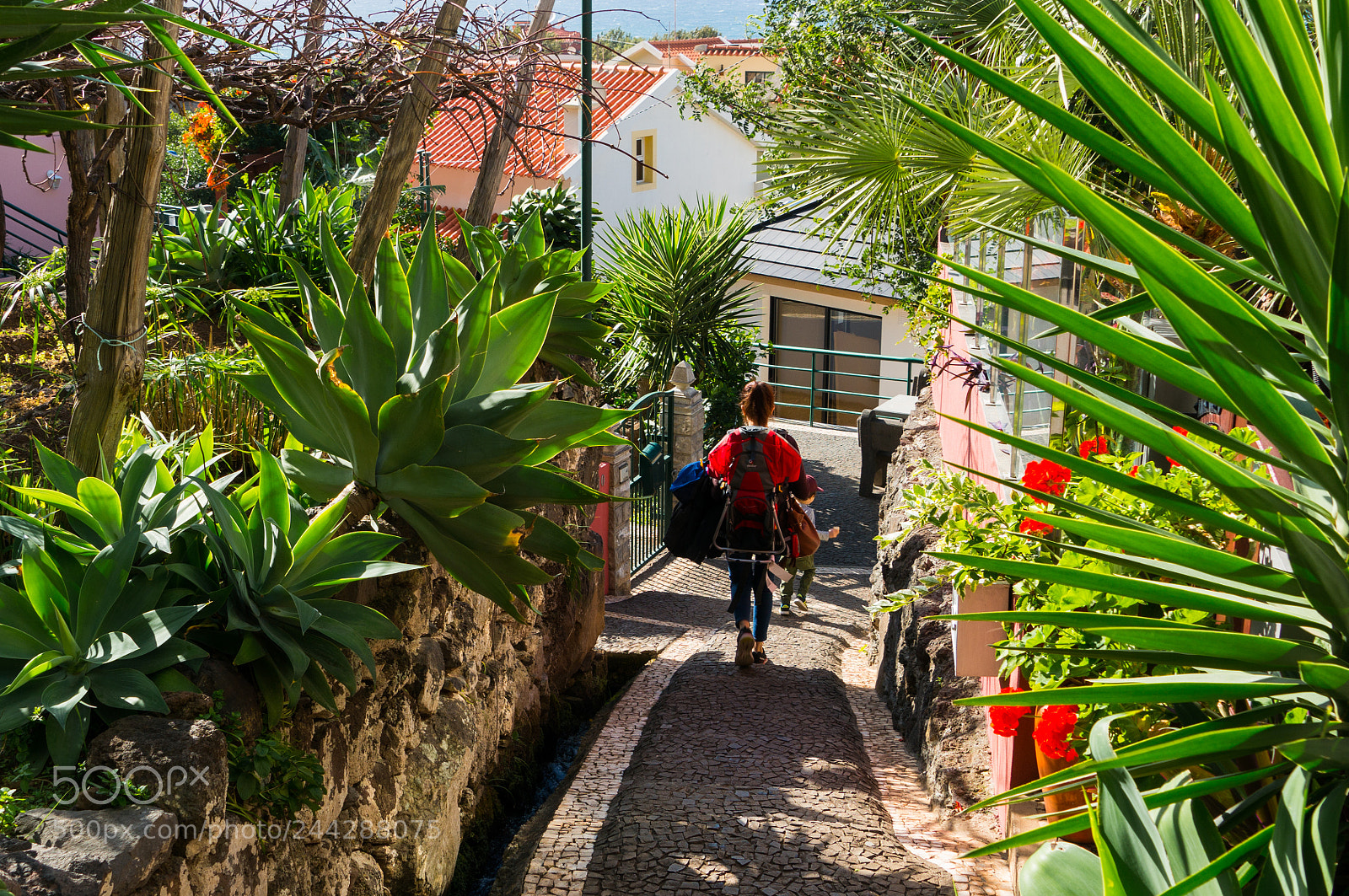Sony Alpha NEX-6 sample photo. Untitled photography