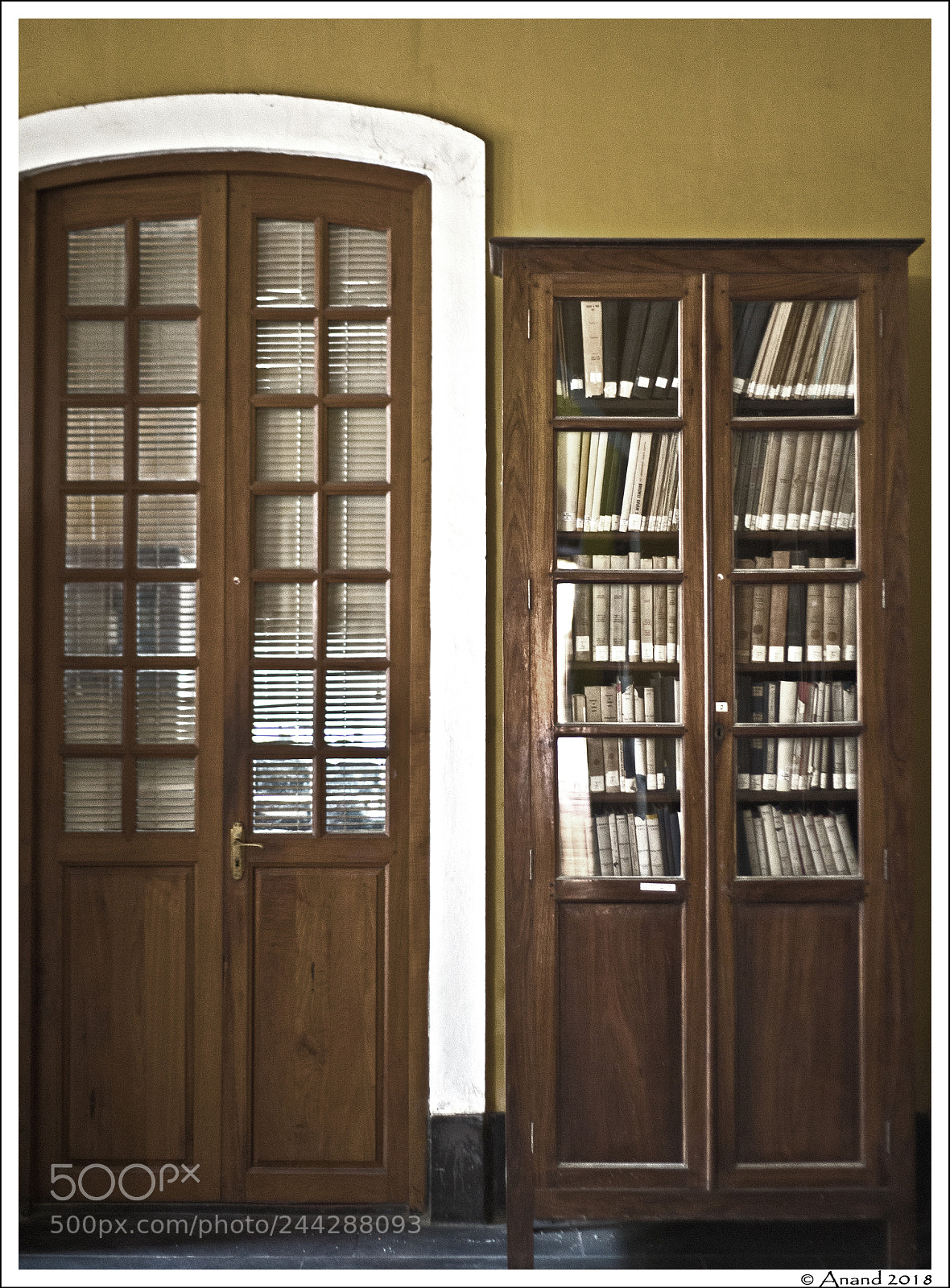 Nikon D610 sample photo. Your library is your photography