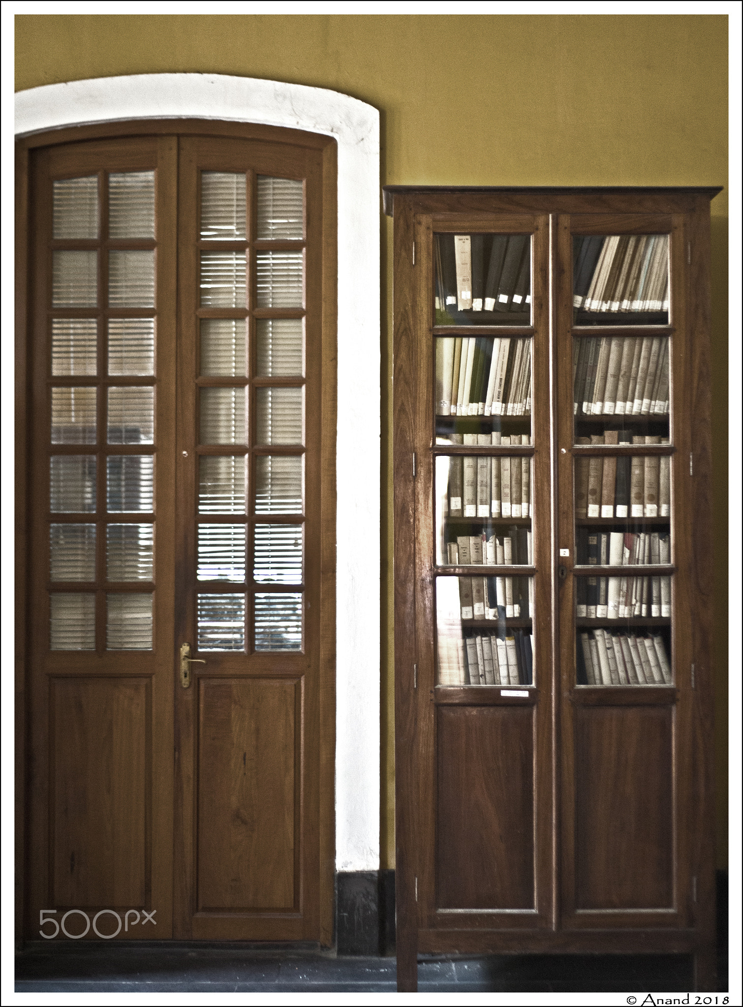 “Your library is your paradise.”  ― Erasmus