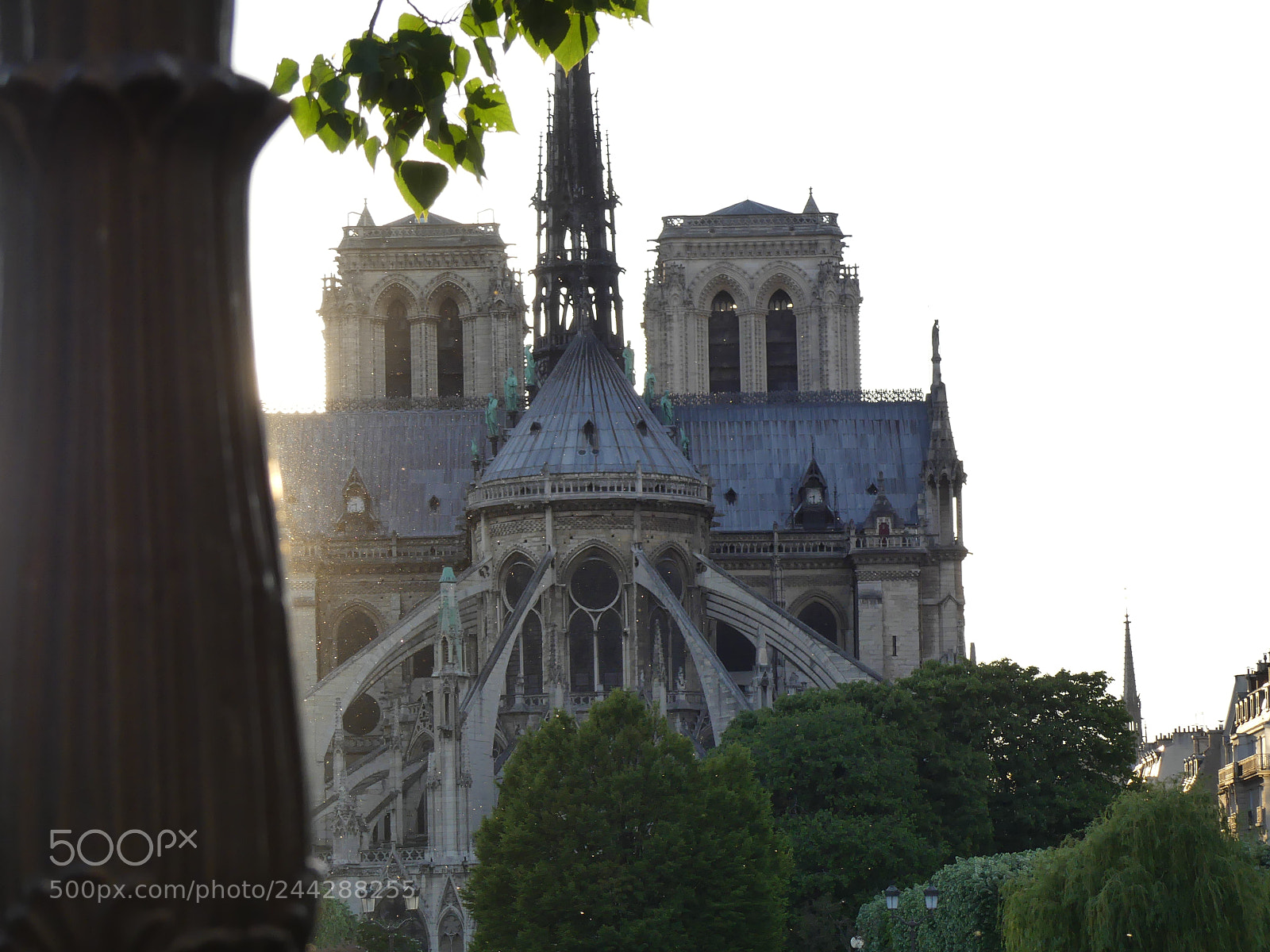 Panasonic Lumix DMC-FZ300 sample photo. Notre-dame photography