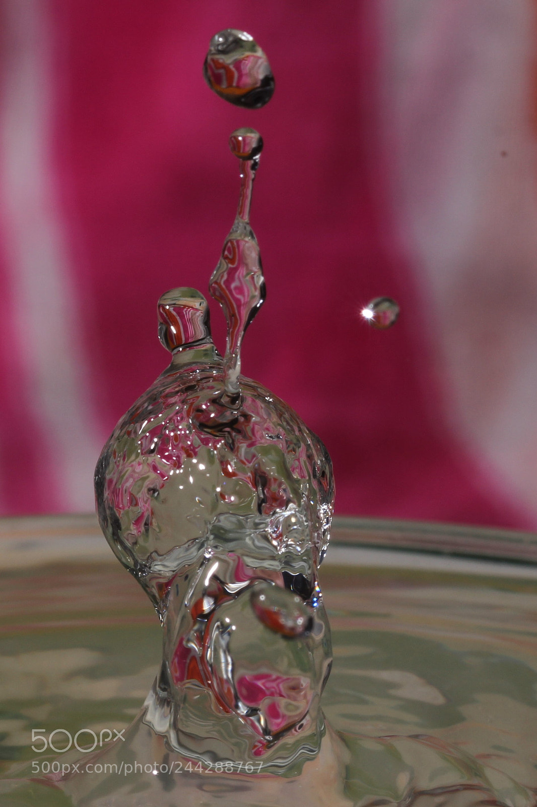 Canon EOS 550D (EOS Rebel T2i / EOS Kiss X4) sample photo. F erie de 2 photography