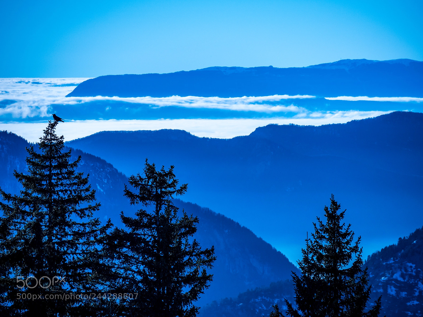 Olympus PEN-F sample photo. Blue mountain photography