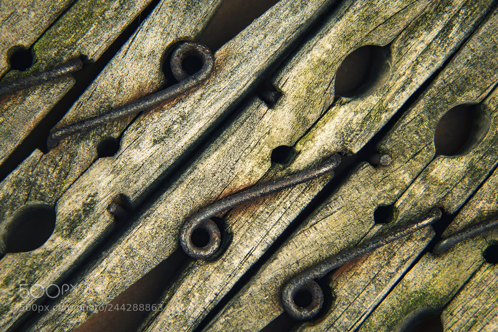 Nikon D5500 sample photo. Old wooden pins photography