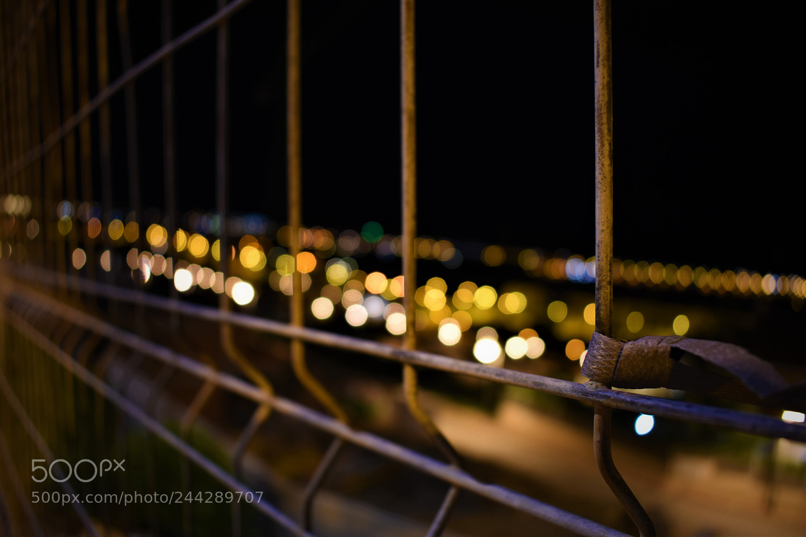 Nikon D3400 sample photo. Fence photography