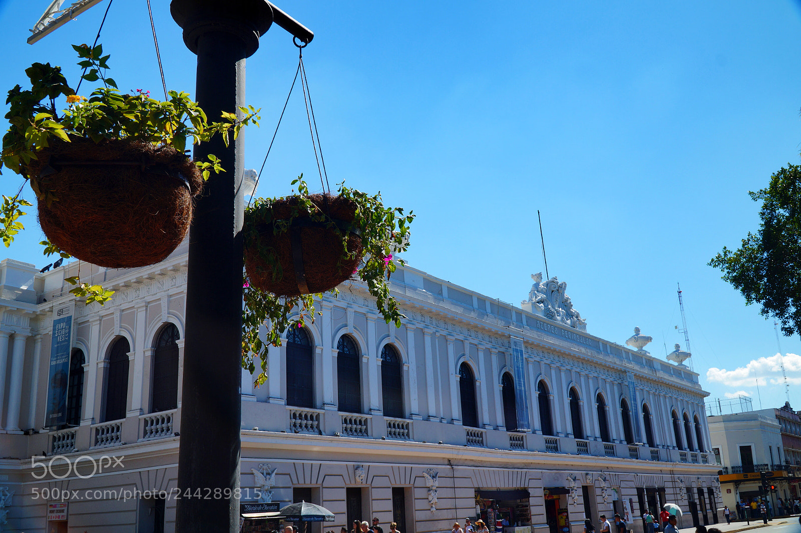 Sony Alpha a3500 sample photo. Pale building photography