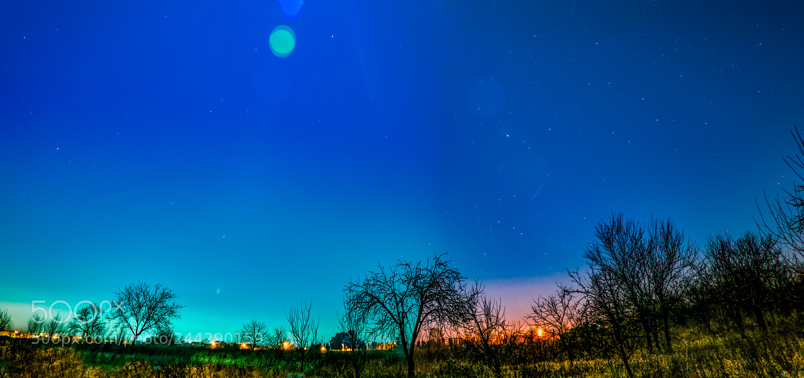 Nikon D90 sample photo. Orchard at night photography