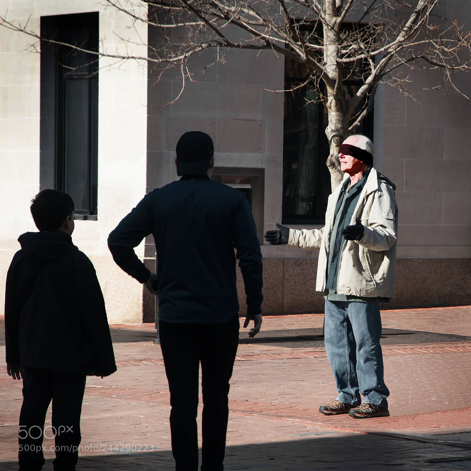 Nikon D500 sample photo. Mystery... photography