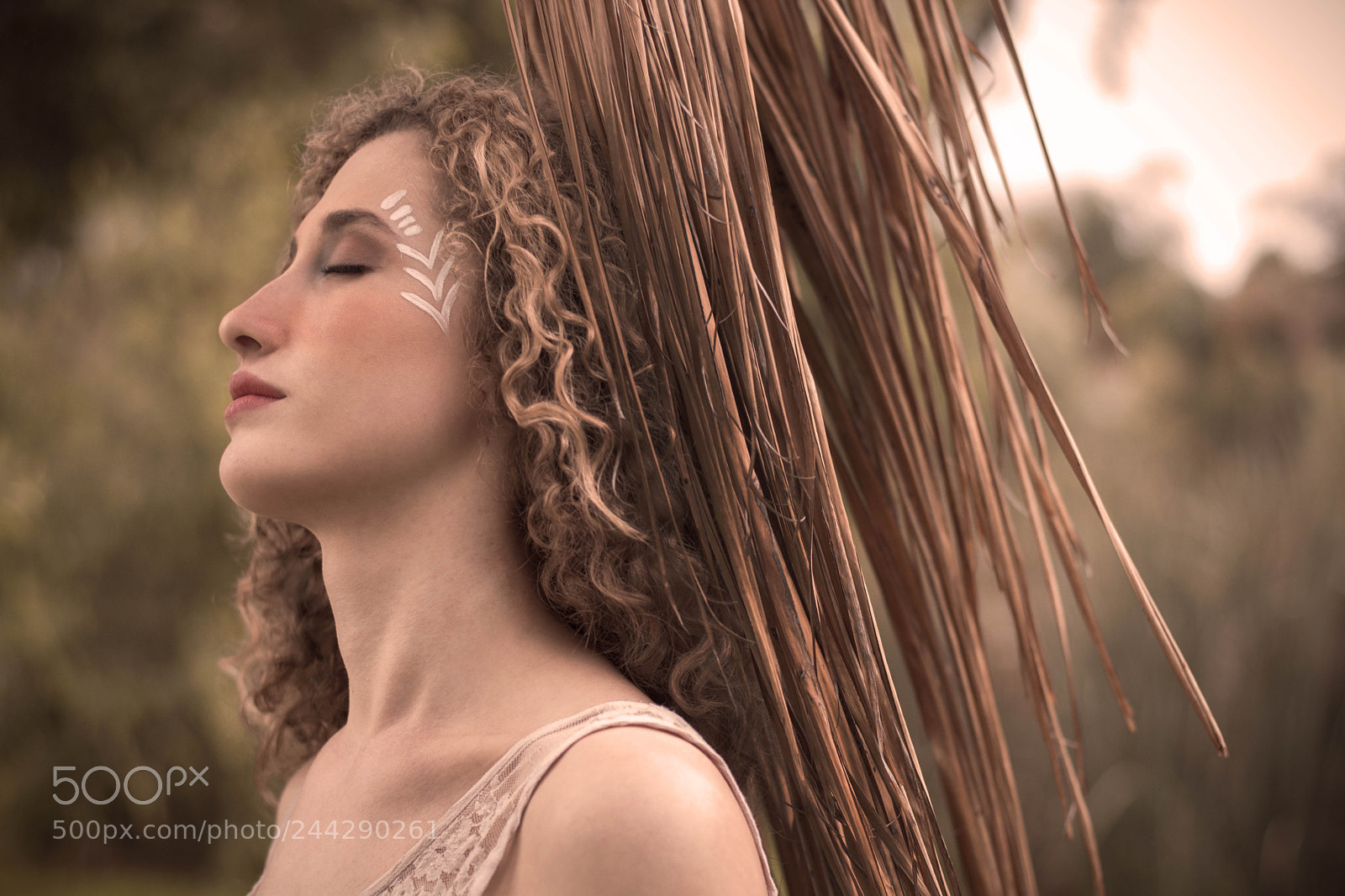 Nikon D7100 sample photo. A dream in the photography