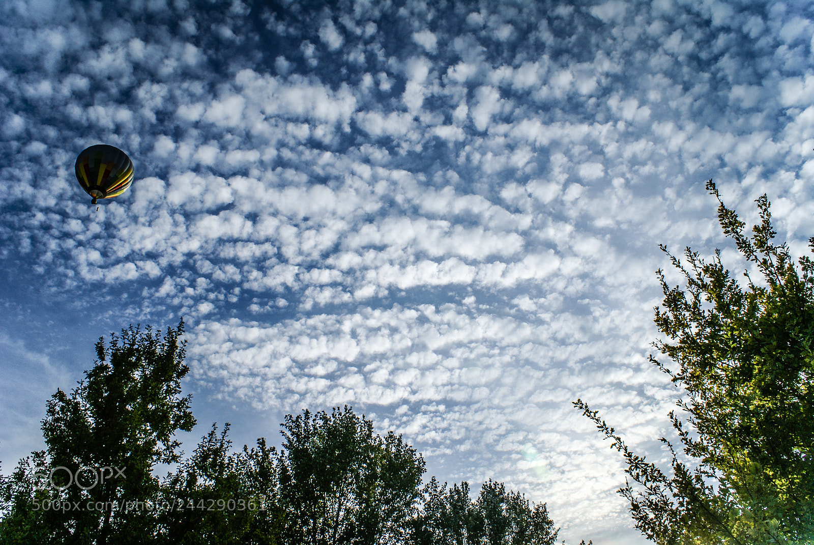 Sony Alpha DSLR-A100 sample photo. Ballons in the sky photography