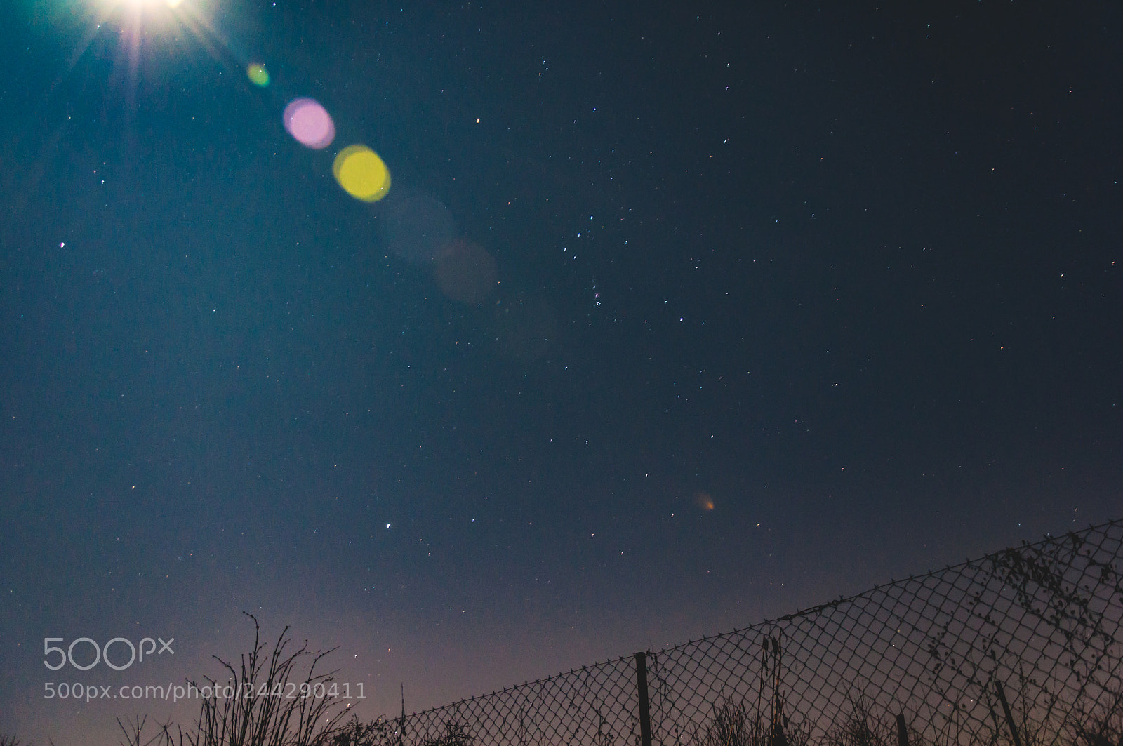 Nikon D90 sample photo. Sun at night photography