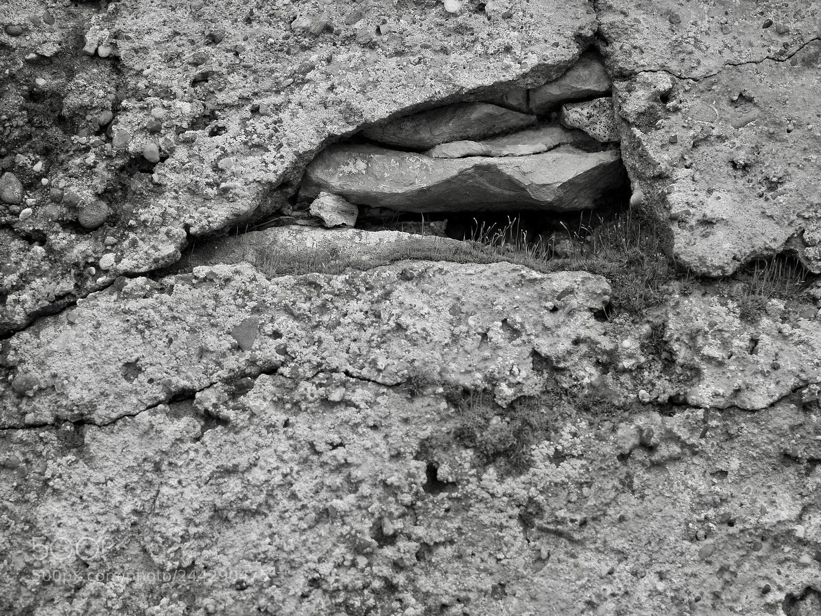Olympus OM-D E-M10 II sample photo. Wall photography
