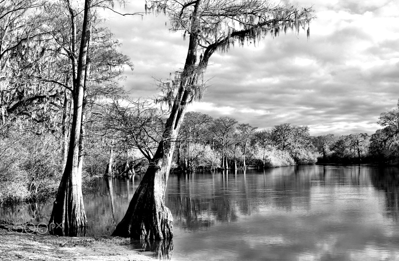 Canon EOS 600D (Rebel EOS T3i / EOS Kiss X5) sample photo. Santa fe river photography