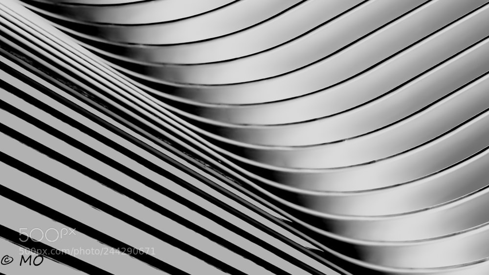 Nikon D5 sample photo. Abstraction photography