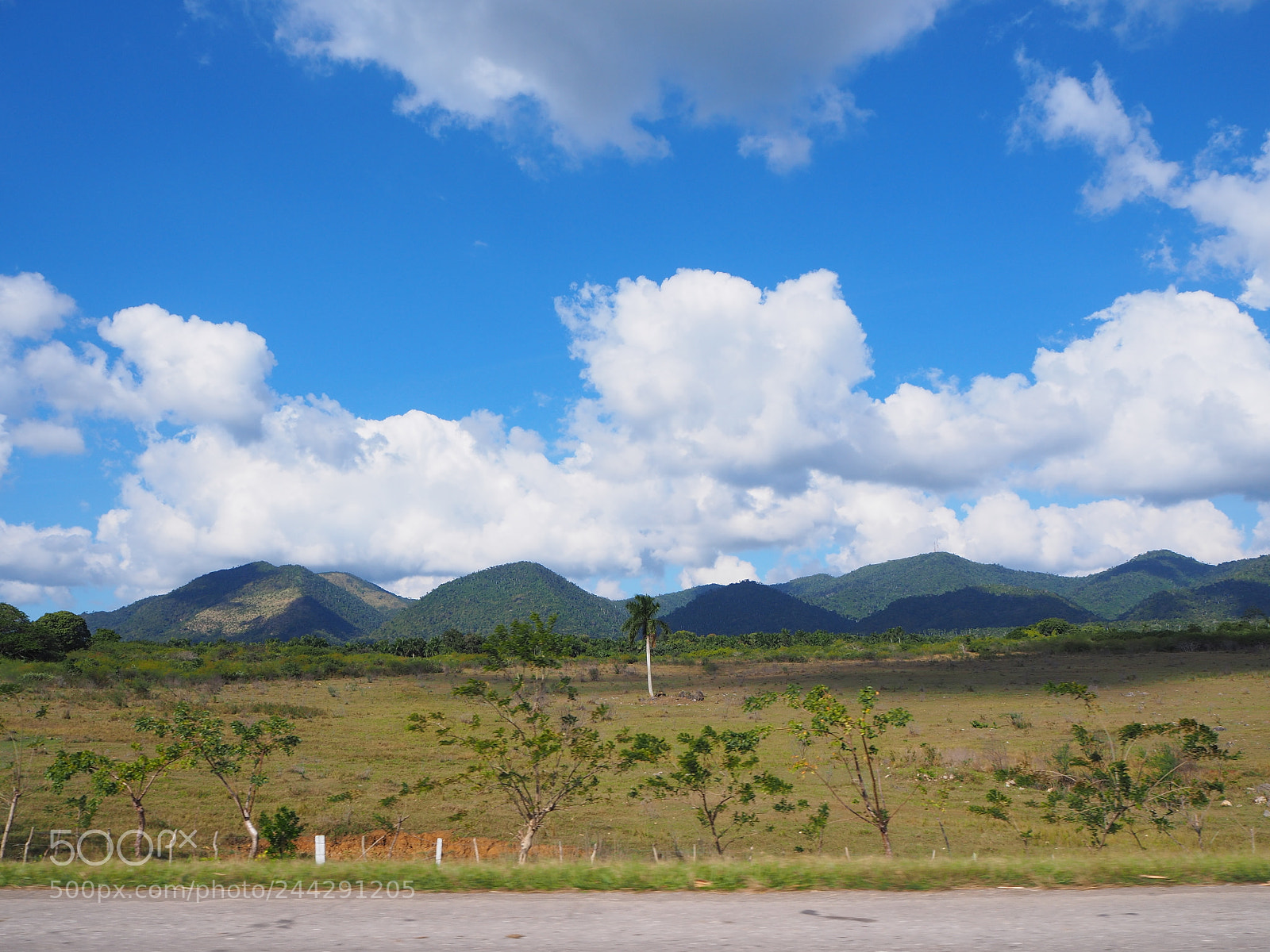 Olympus OM-D E-M10 II sample photo. Landscape on the way photography