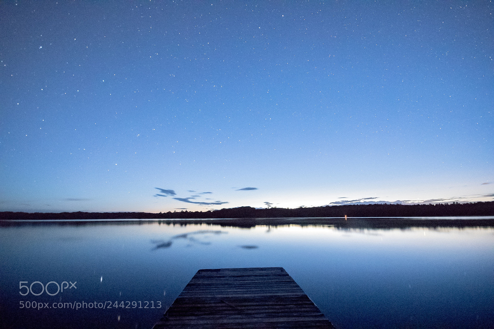 Nikon D5500 sample photo. Blue stars photography