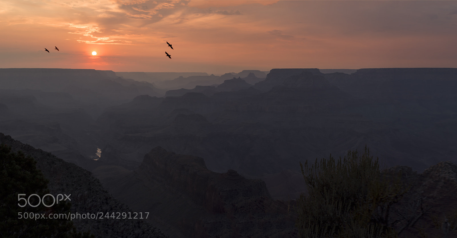Nikon D7200 sample photo. Grand canyon photography