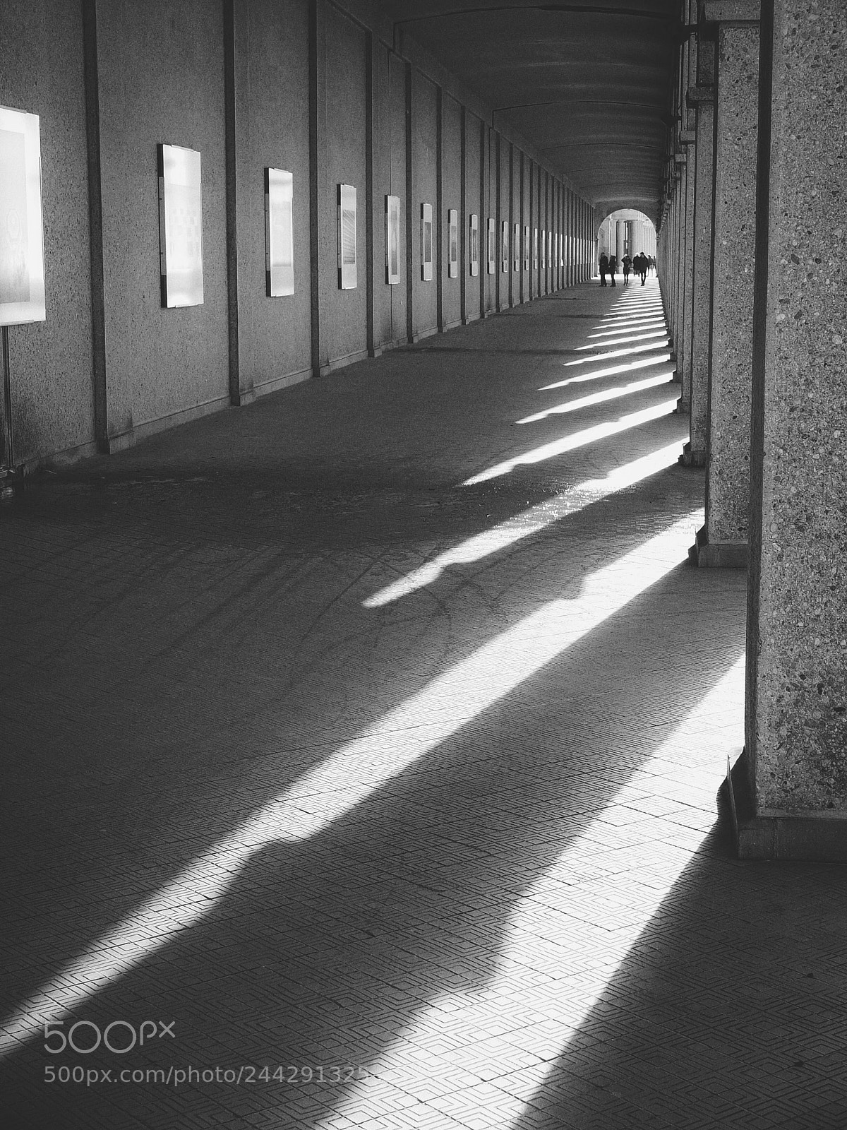 Fujifilm X10 sample photo. Untitled photography