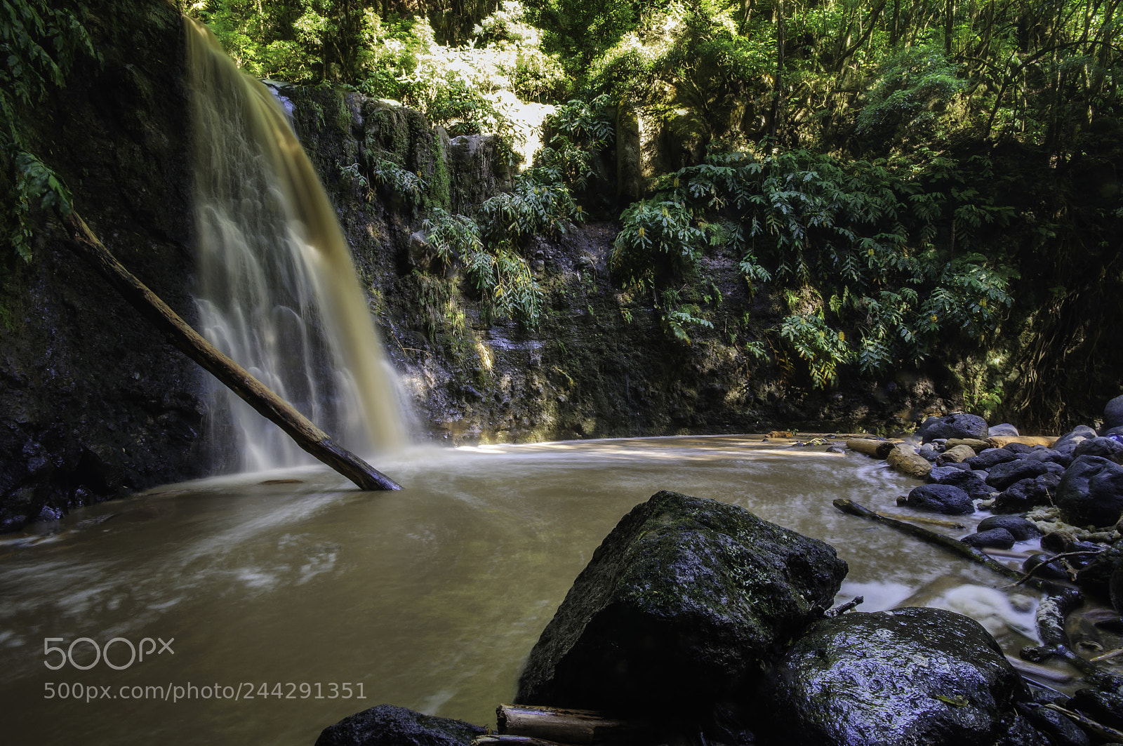 Nikon D90 sample photo. Muddy stream photography