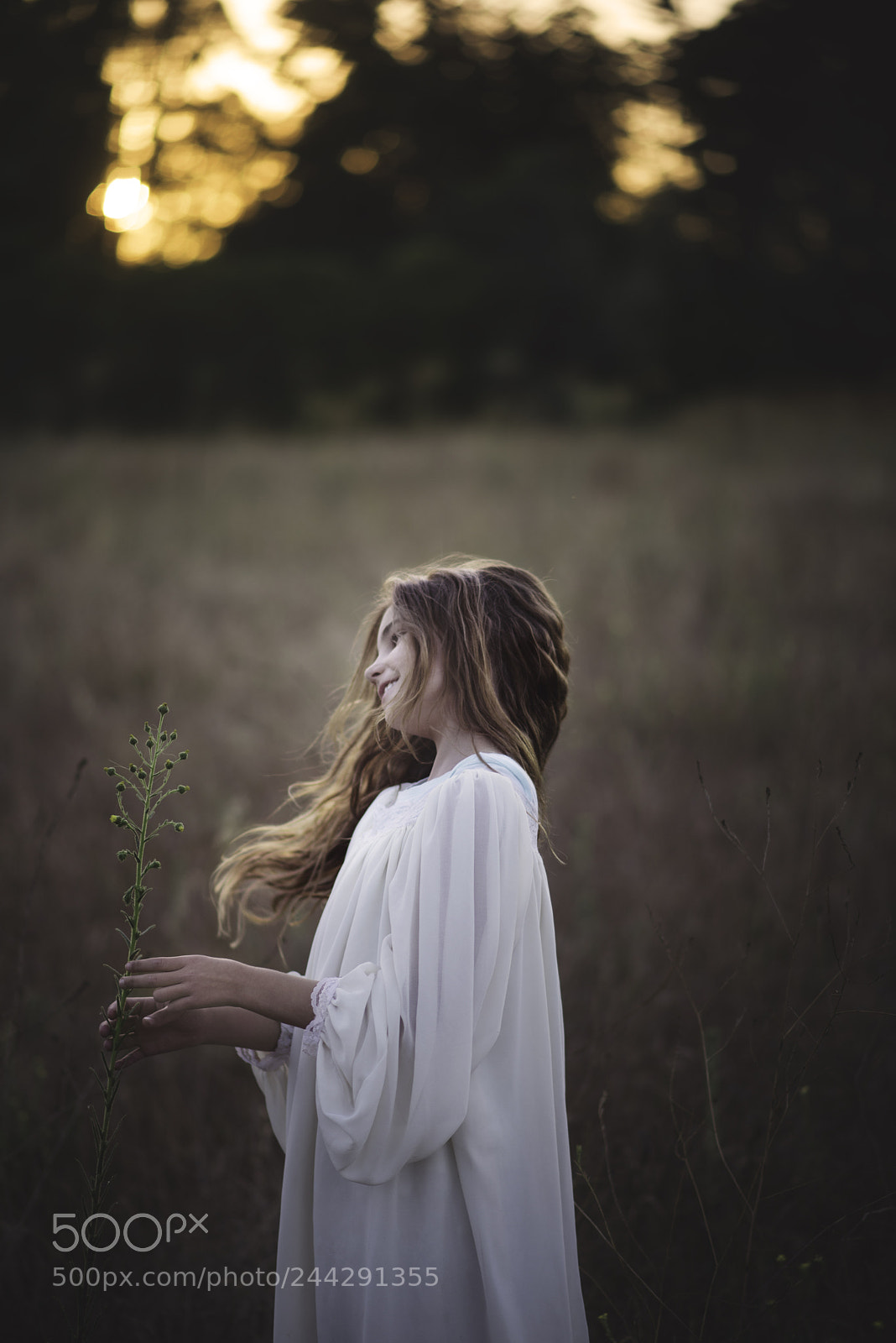 Nikon D610 sample photo. Untitled photography