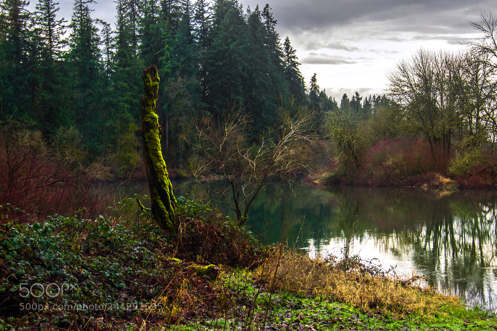Sony SLT-A77 sample photo. Down by the river photography