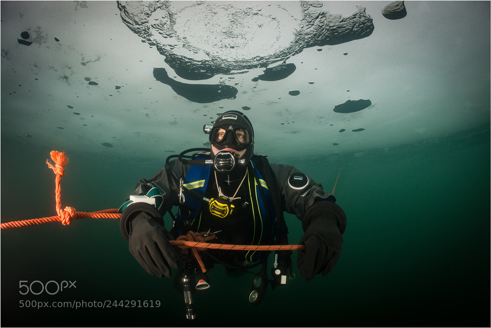 Nikon D800E sample photo. Diving under ice photography
