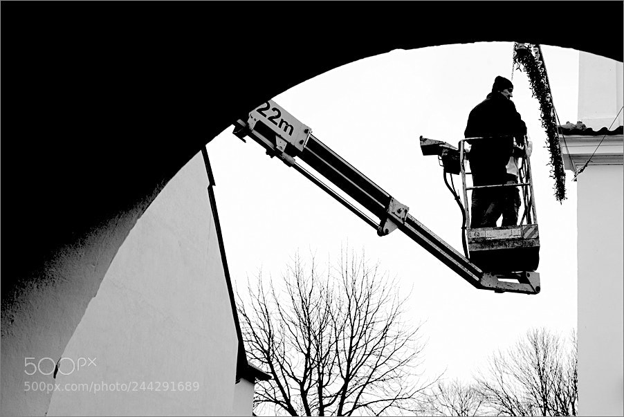 Nikon D610 sample photo. 22m photography