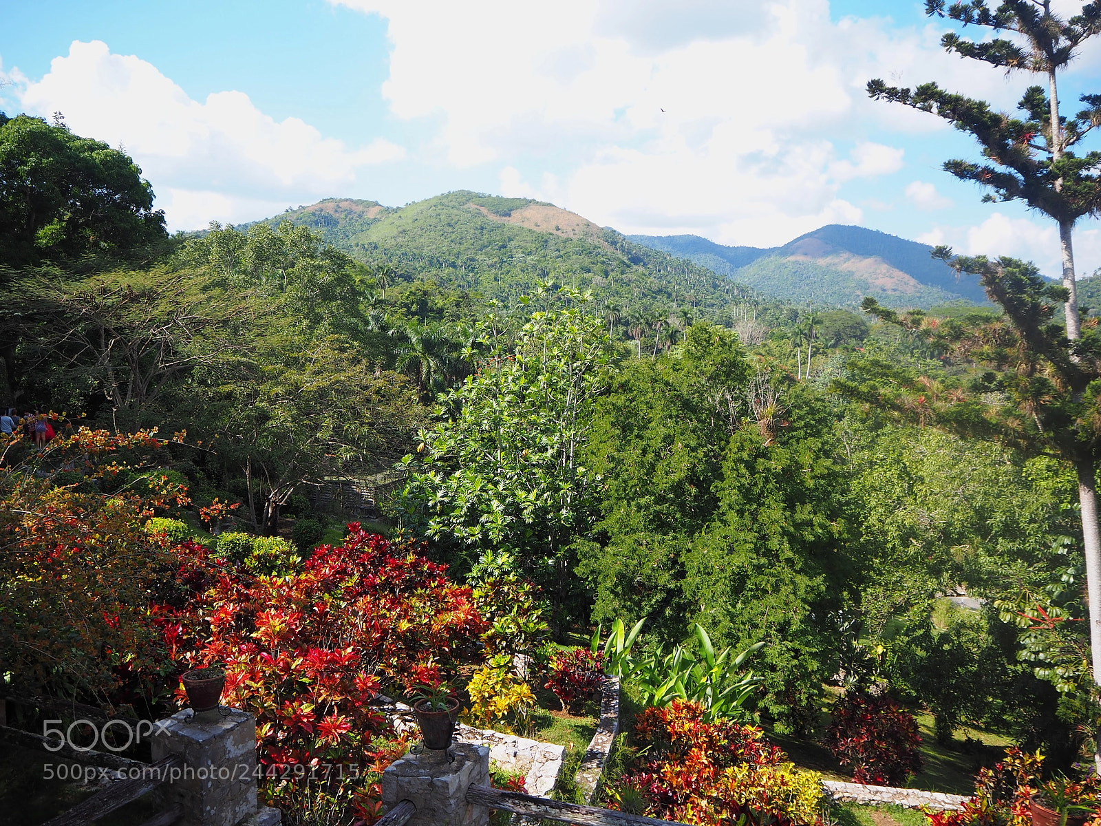 Olympus OM-D E-M10 II sample photo. Colorful landscape photography