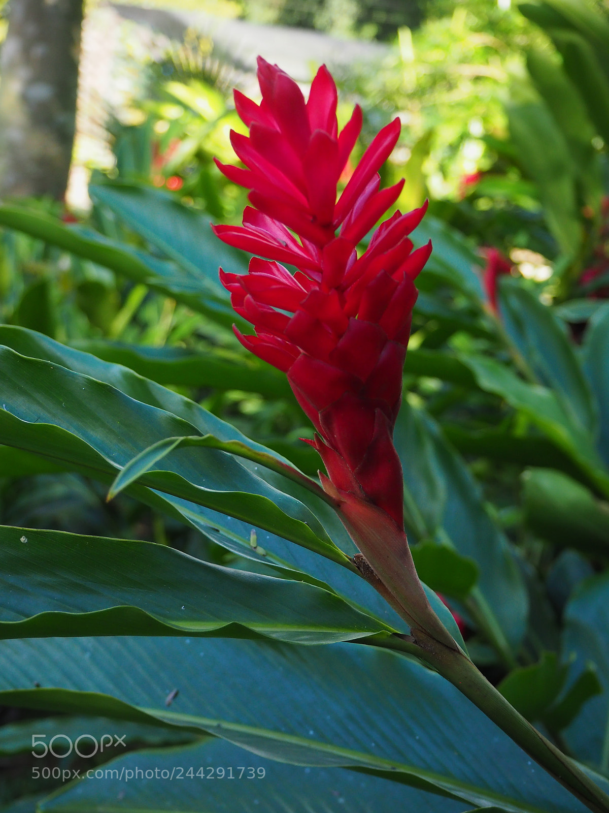 Olympus OM-D E-M10 II sample photo. Incredible contrast photography